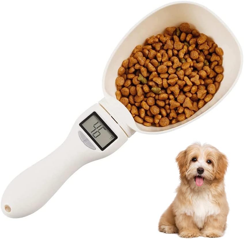 Toto's Measuring Spoon