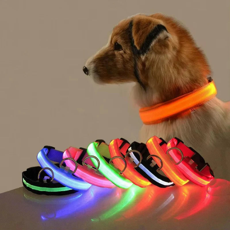 Reflective LED Dog Collar for Night Safety - Durable, Geometric Patterned, Battery-Powered, Ideal for Small/Medium Breeds