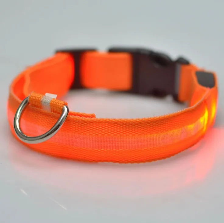 Reflective LED Dog Collar for Night Safety - Durable, Geometric Patterned, Battery-Powered, Ideal for Small/Medium Breeds